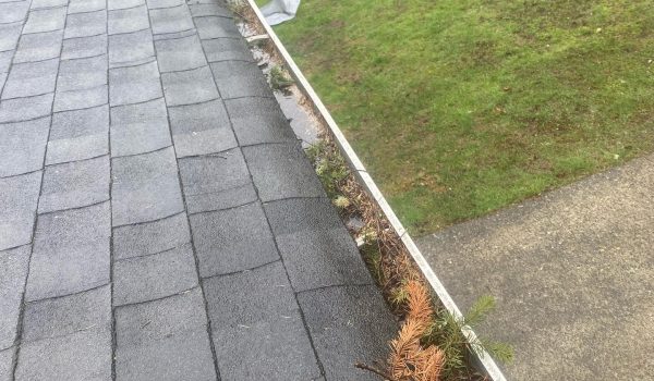 Gutter Cleaning Tacoma Gutter Cleaning Tacoma