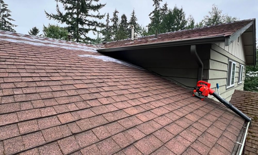 Roof Cleaning Roof Cleaning